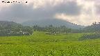 area3-20250722155057.jpg
