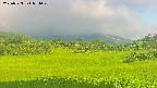 area3-20250723054050.jpg