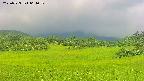 area3-20250723064051.jpg
