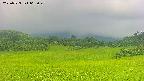 area3-20250723065049.jpg