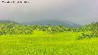 area3-20250723071049.jpg