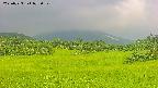 area3-20250723072051.jpg