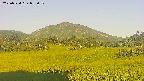 area3-20250724053051.jpg