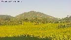 area3-20250724054051.jpg