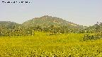 area3-20250724061050.jpg