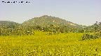 area3-20250724063051.jpg