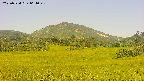 area3-20250724064050.jpg