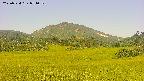 area3-20250724071052.jpg
