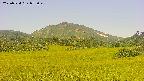 area3-20250724073049.jpg