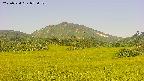area3-20250724075052.jpg