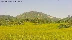 area3-20250724080052.jpg