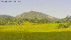 area3-20250724082051.jpg