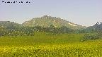 area3-20250724083050.jpg