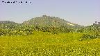 area3-20250724095052.jpg