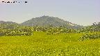 area3-20250724134056.jpg