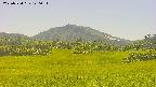 area3-20250724140053.jpg