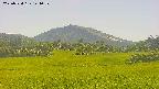 area3-20250724144056.jpg