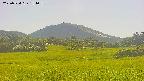 area3-20250724154055.jpg