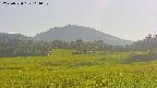 area3-20250724164051.jpg