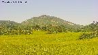 area3-20250725072100.jpg