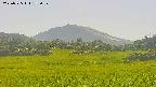 area3-20250725152100.jpg