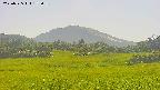 area3-20250725153100.jpg