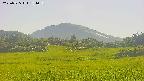 area3-20250725154057.jpg