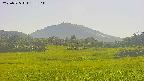 area3-20250725155108.jpg