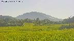 area3-20250725160052.jpg