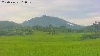 area3-20250726114053.jpg