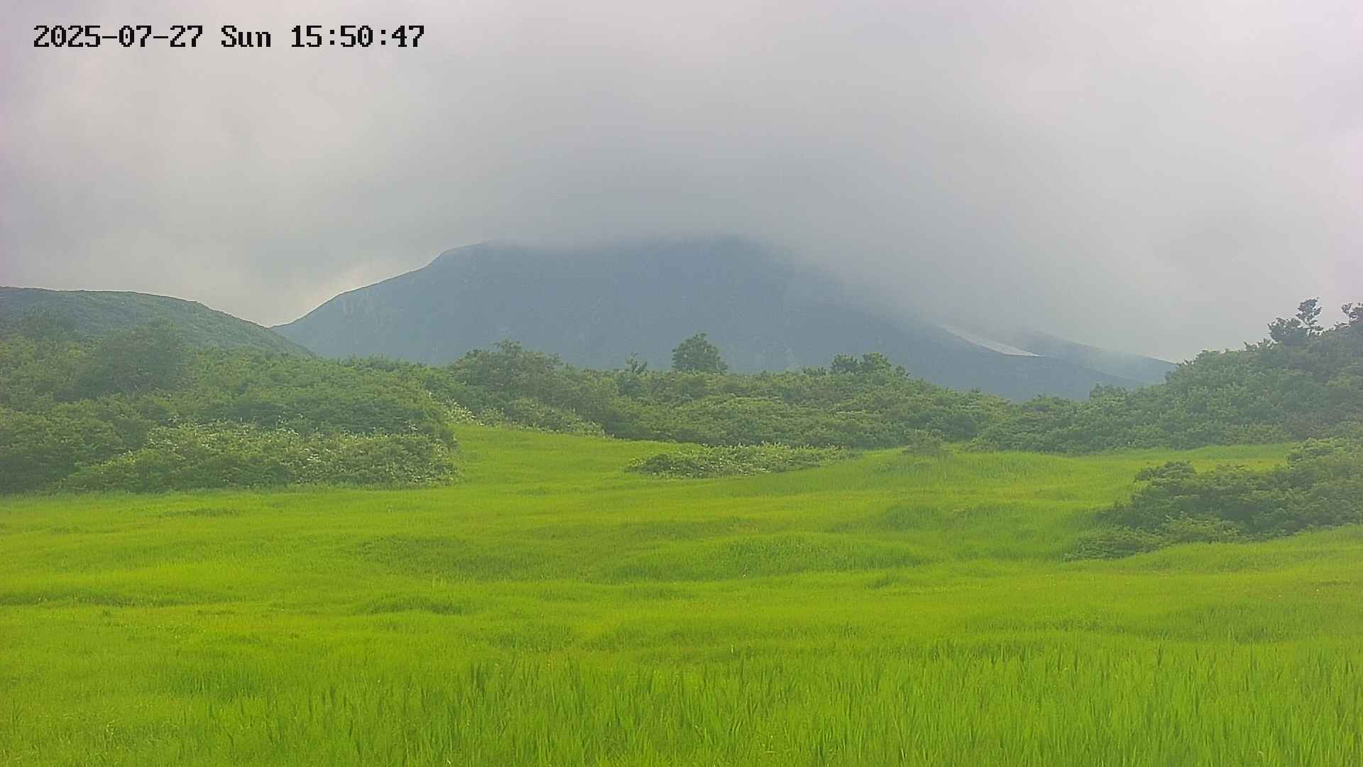 area3-20250727155048.jpg