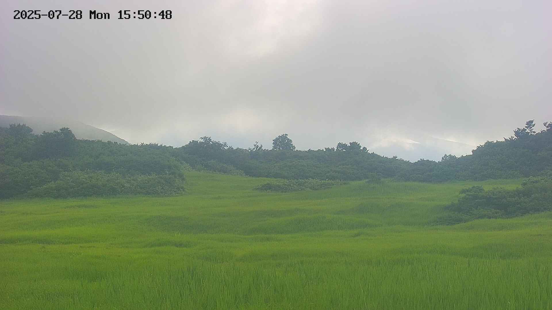 area3-20250728155051.jpg