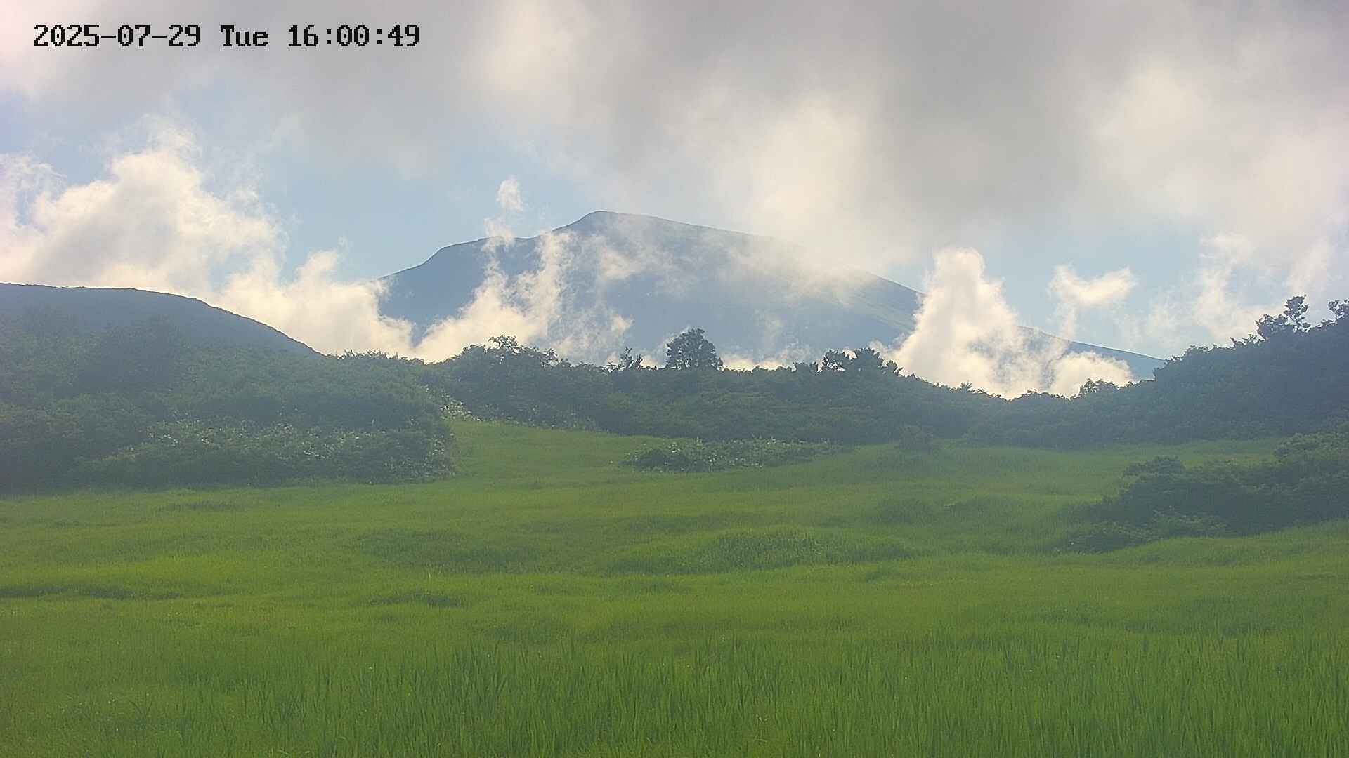 area3-20250729160050.jpg