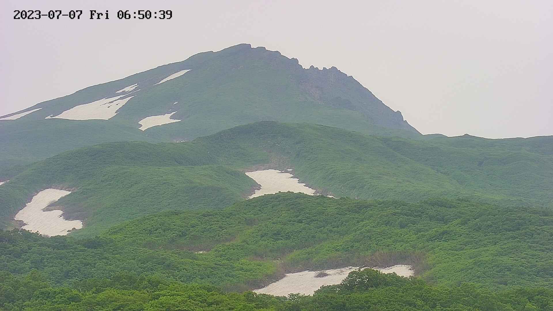 area4-20230707065040.jpg