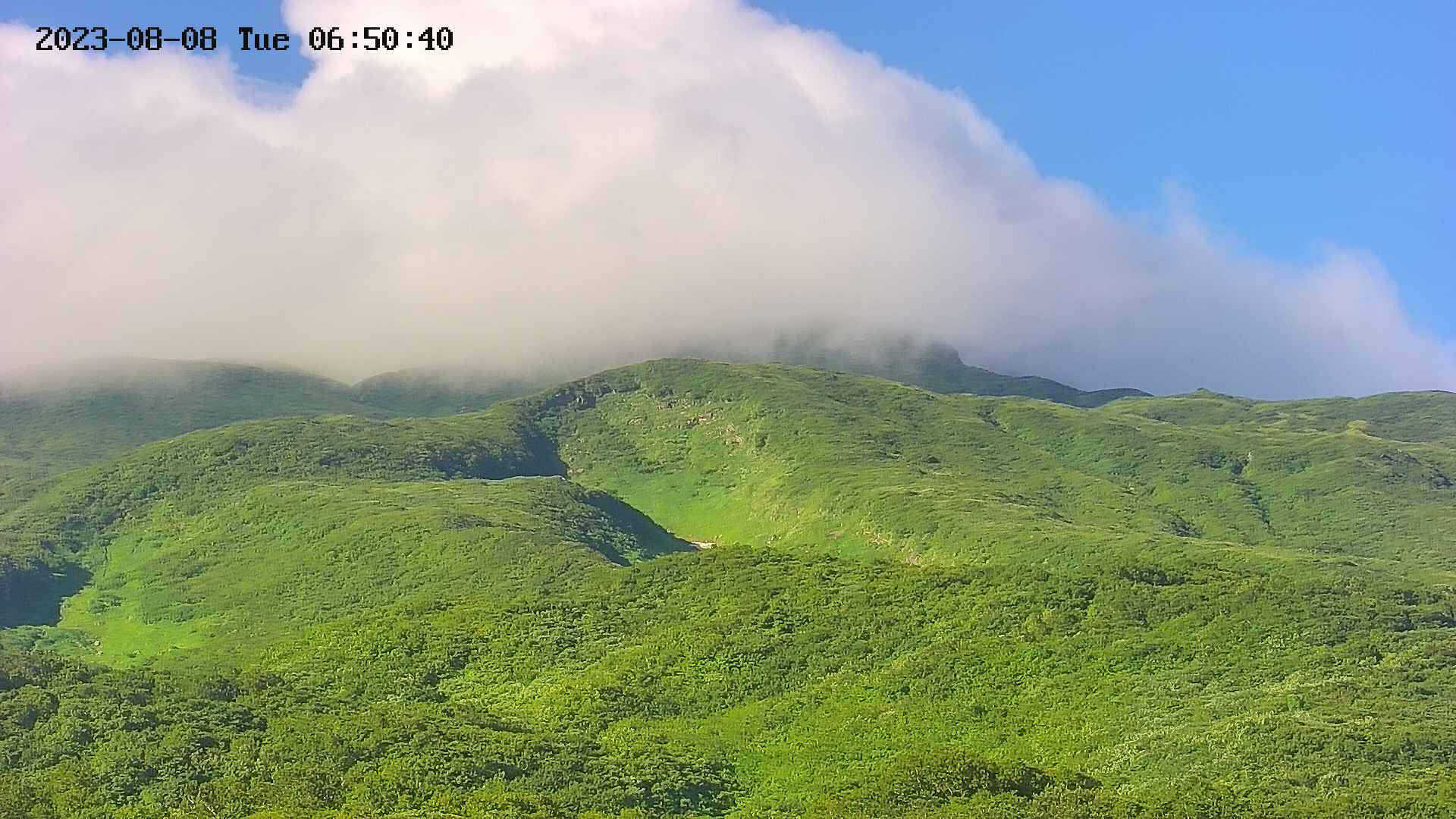 area4-20230808065043.jpg