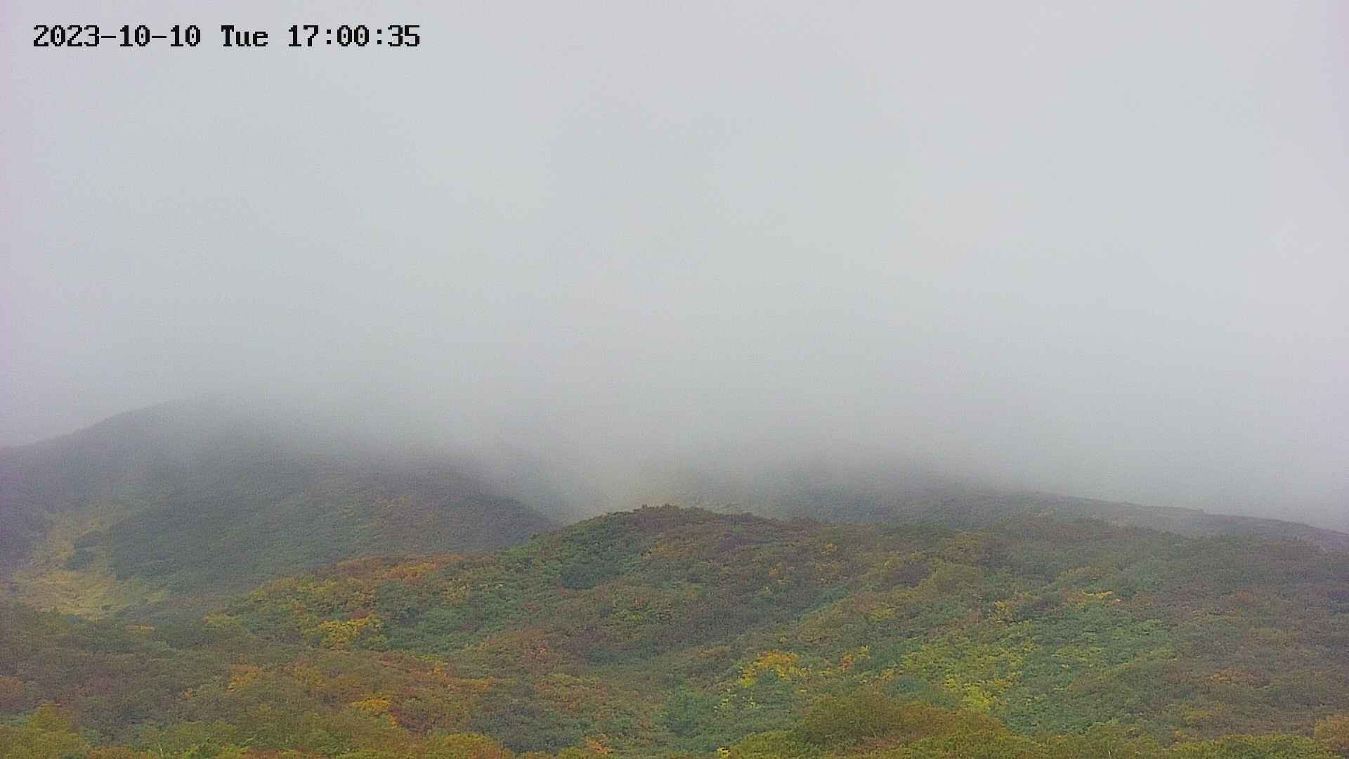 area4-20231010170036.jpg