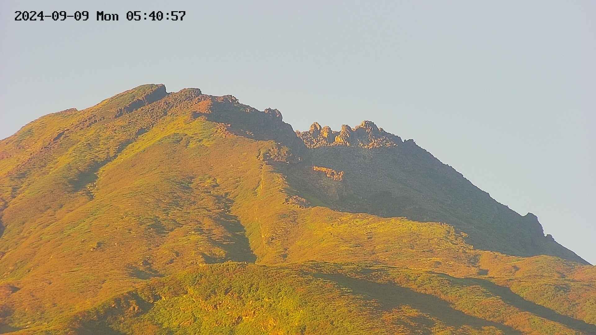 area4-20240909054057.jpg