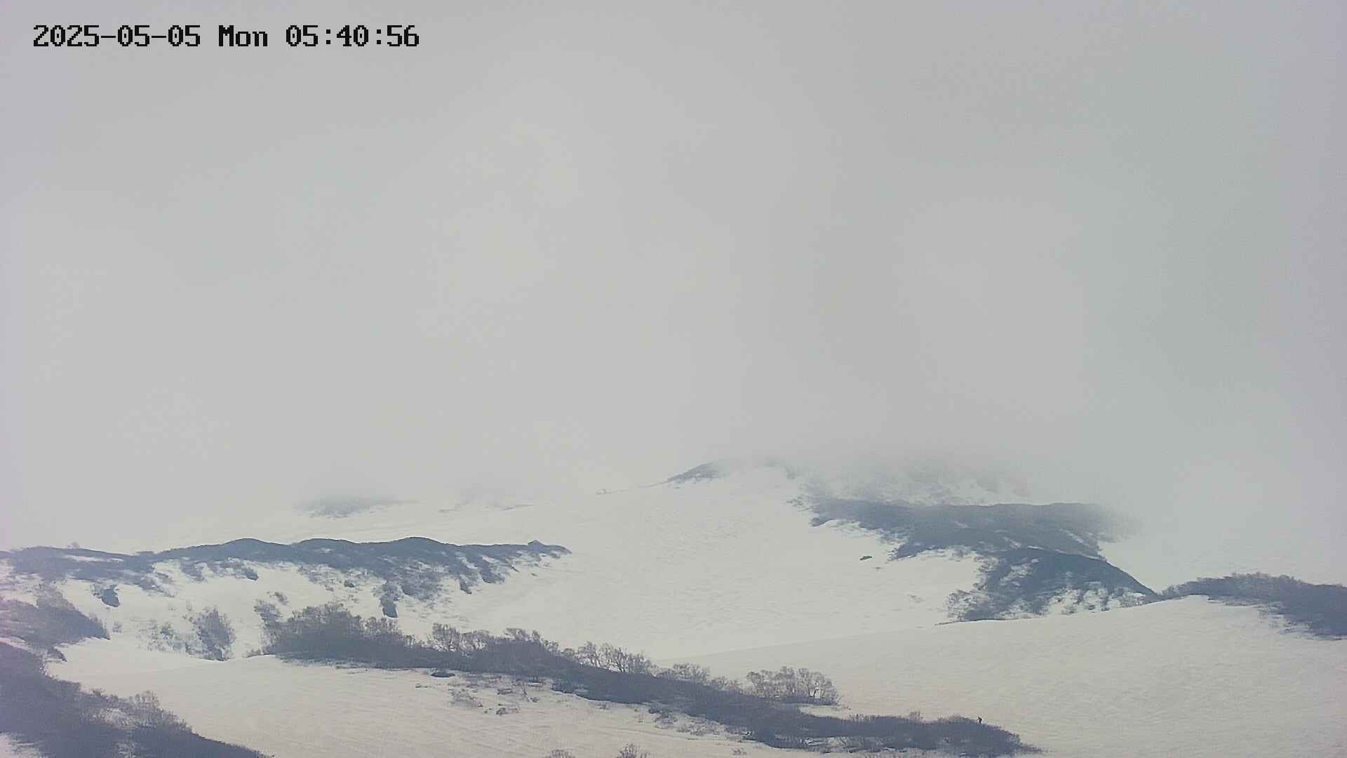 area4-20250505054057.jpg