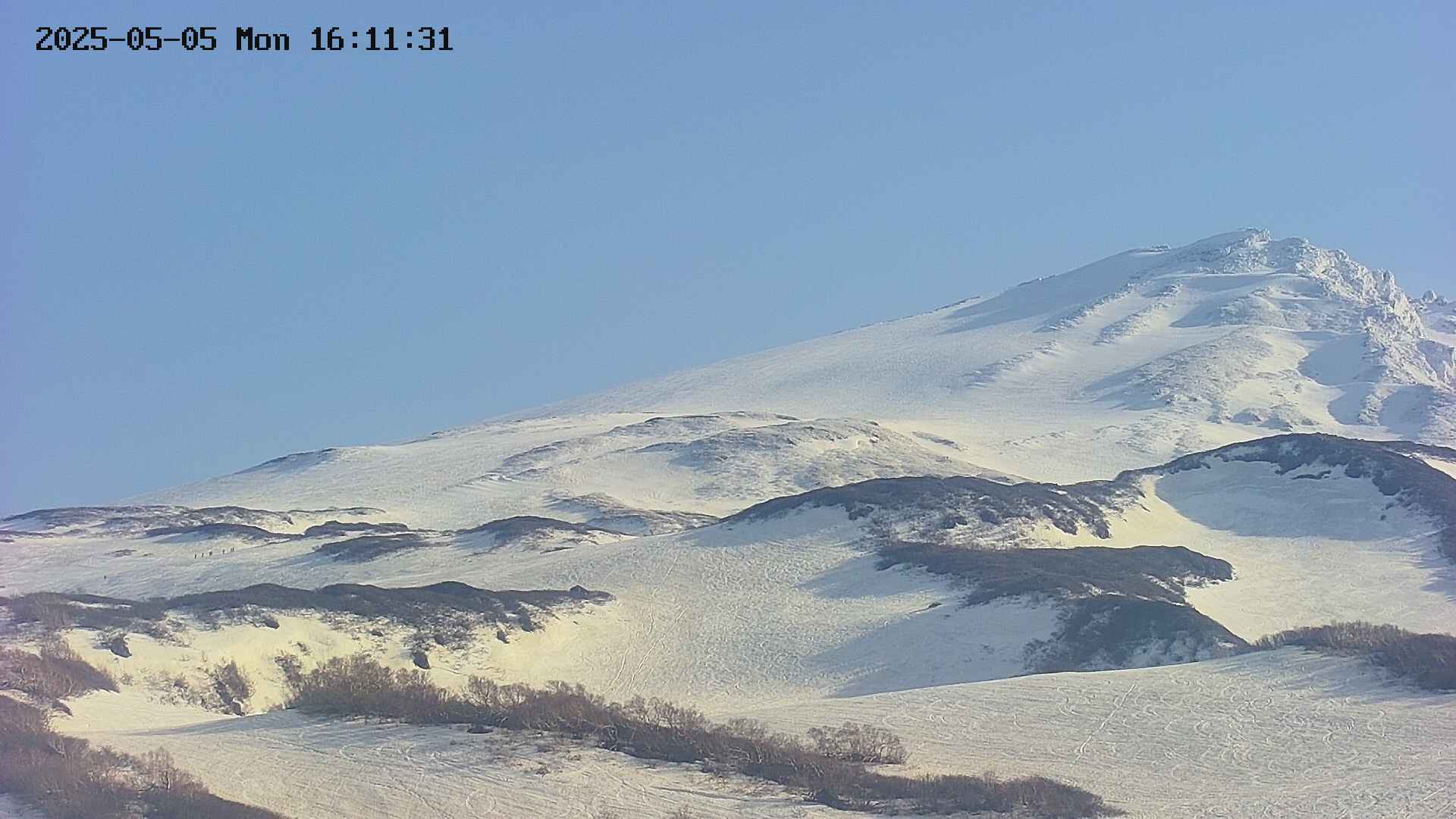 area4-20250505161151.jpg