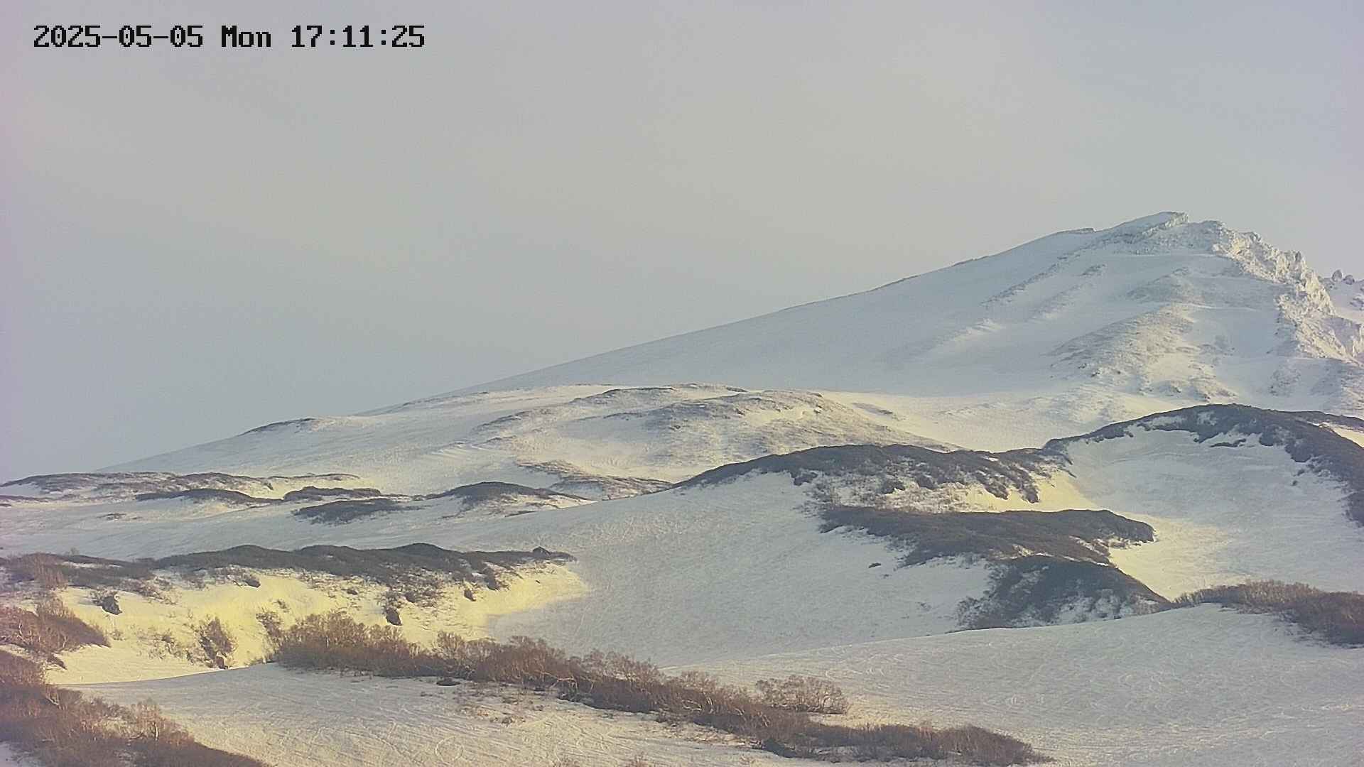 area4-20250505171149.jpg