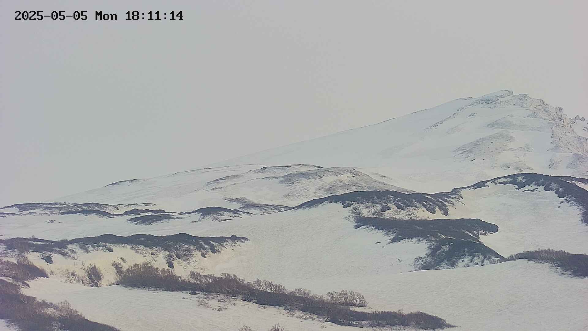 area4-20250505181118.jpg