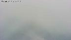 area4-20250701120103.jpg