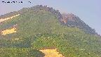 area4-20250703053108.jpg