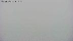 area4-20250705050103.jpg