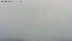 area4-20250705122102.jpg