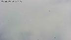 area4-20250709140118.jpg