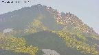 area4-20250711181105.jpg