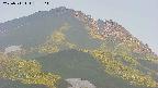 area4-20250711182105.jpg