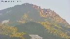 area4-20250711184108.jpg