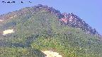 area4-20250713073115.jpg
